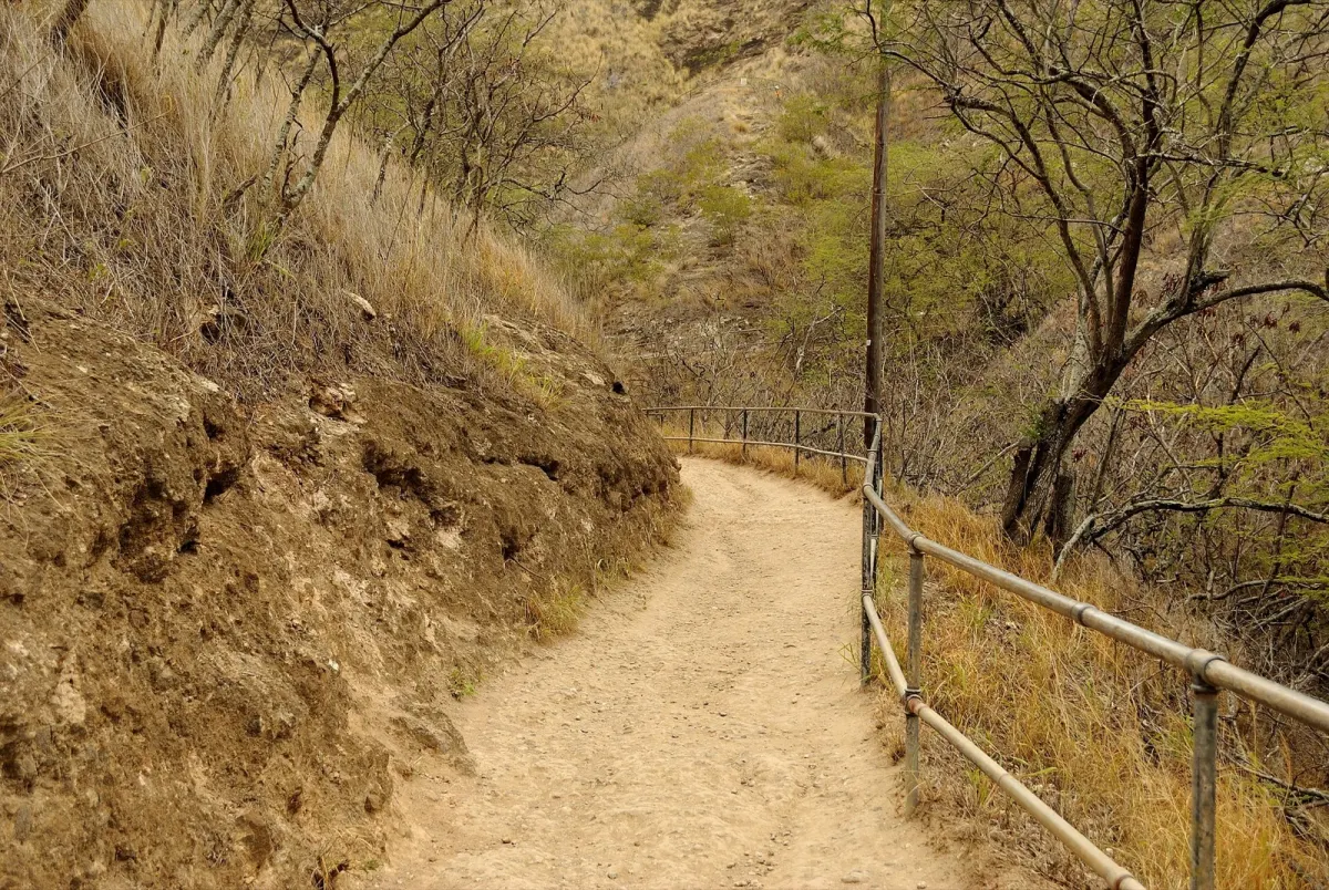 ダイヤモンドヘッド登山道（手すり付きの未舗装路）