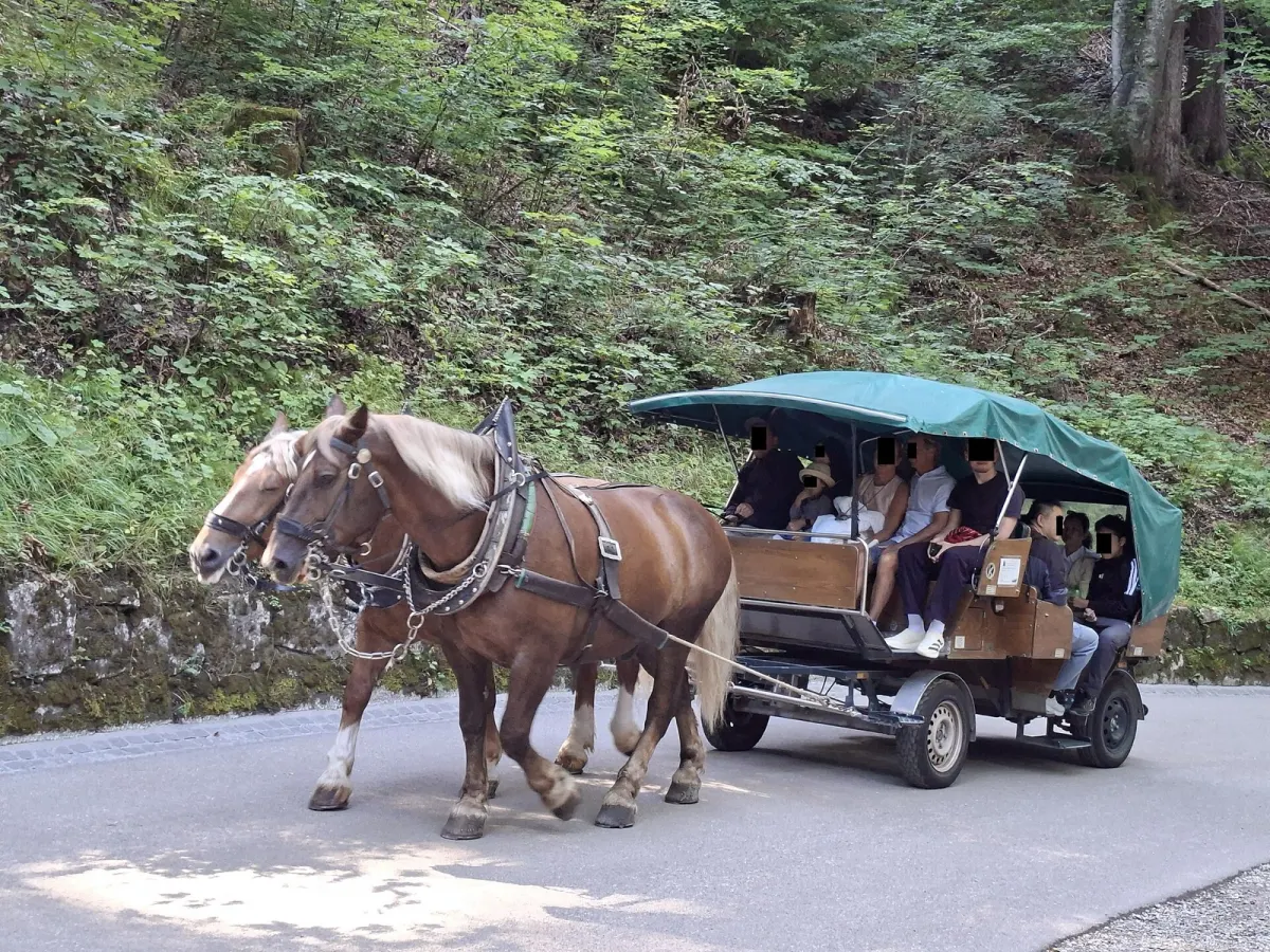 城へ続く上り坂の舗装路（馬車も通る）
