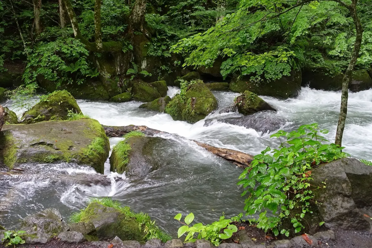 奥入瀬渓流の風景