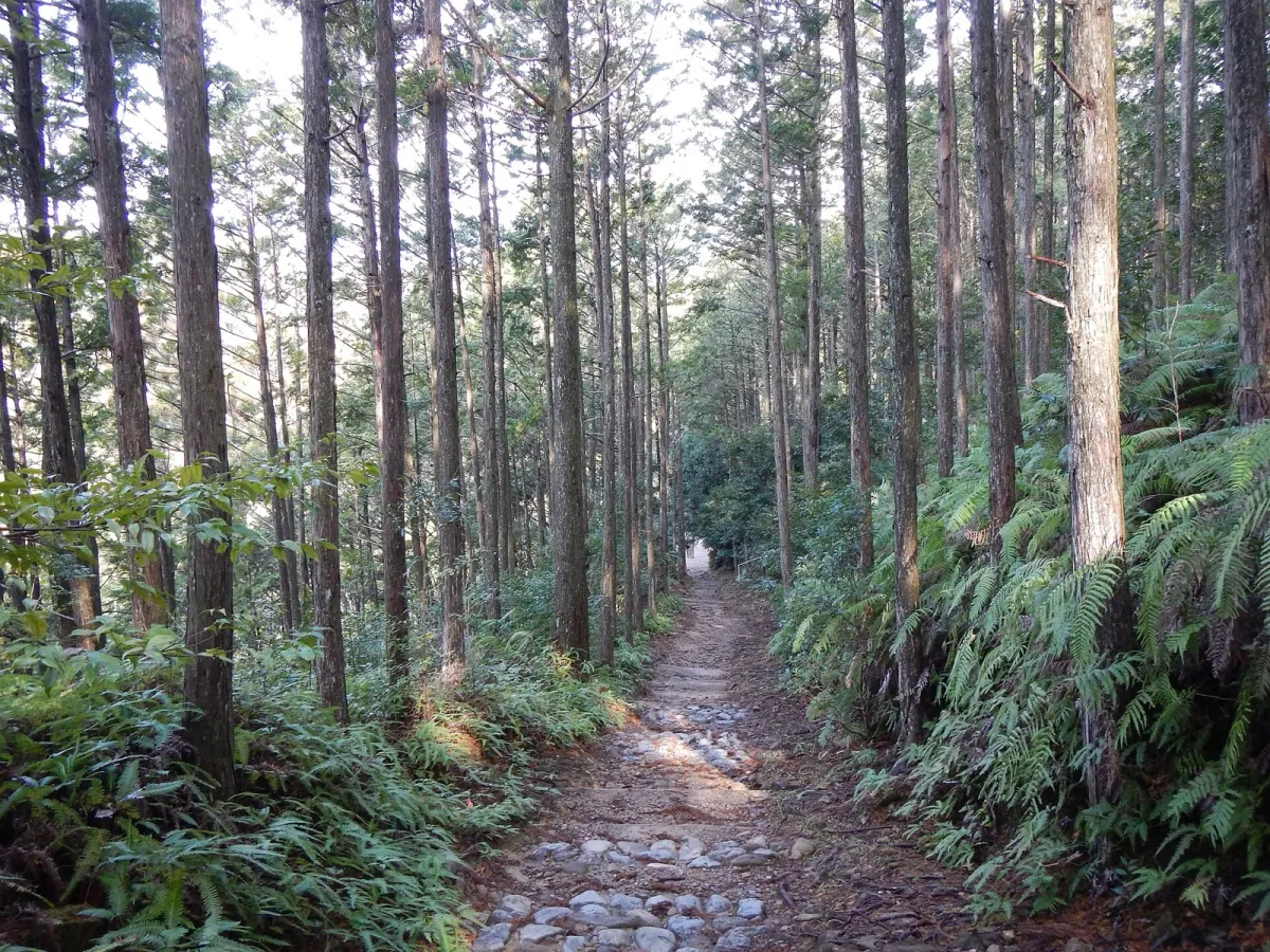 熊野古道（中辺路・熊野本宮）の風景
