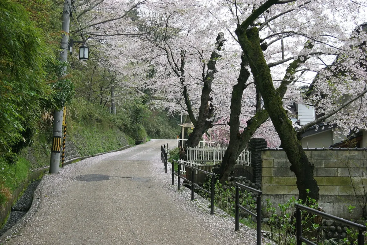 卯辰山へ上る坂道
