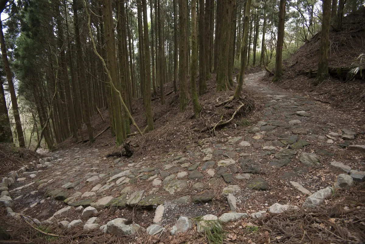 箱根旧街道の石畳の山道