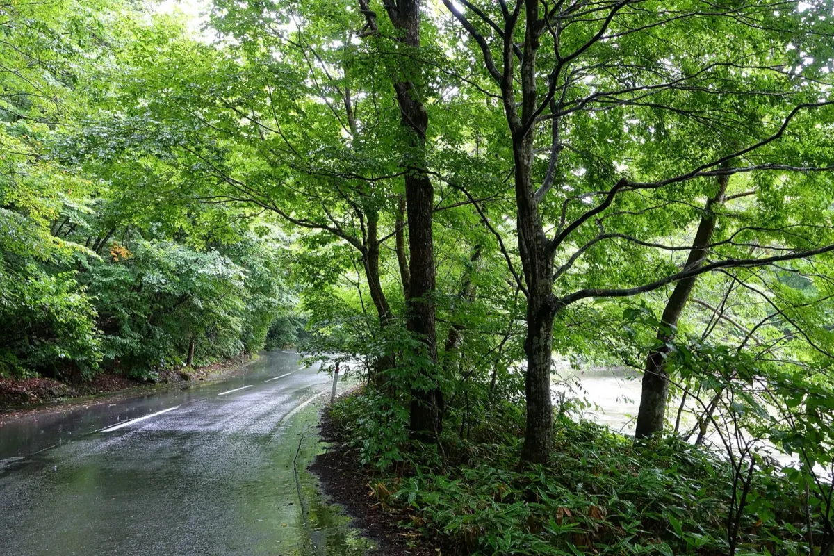渓流に沿って走る国道102号(路線バスが走る)