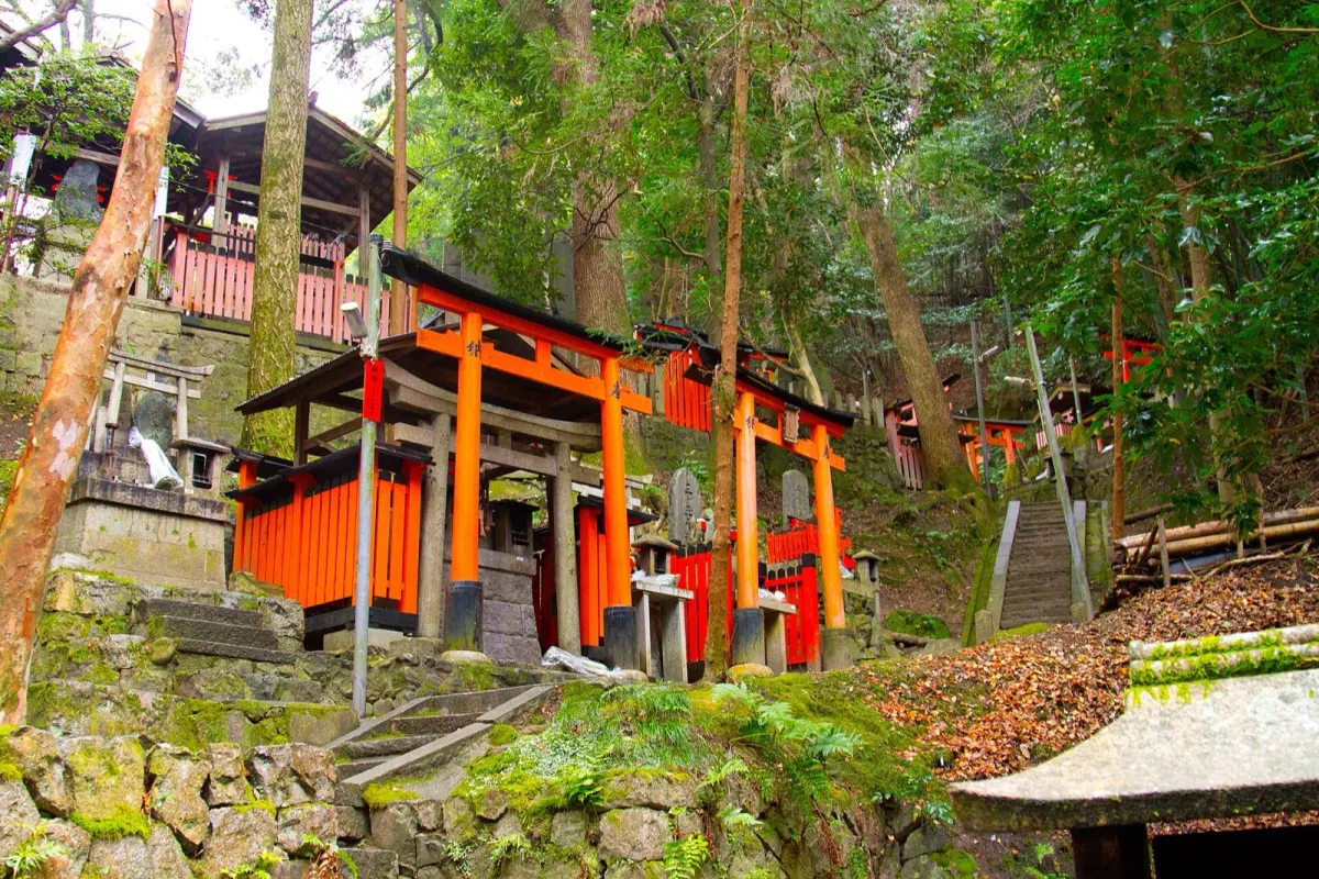 稲荷山の山中に並ぶお塚と鳥居