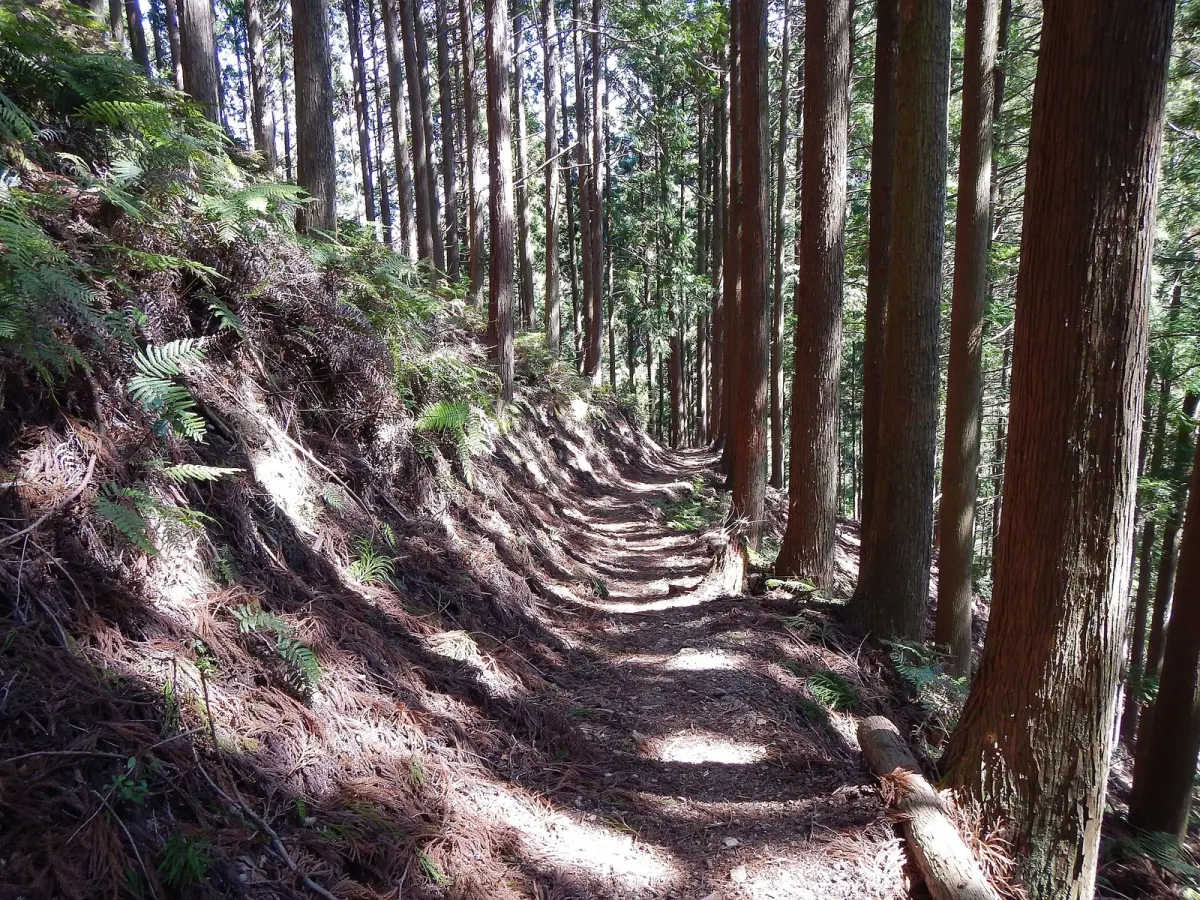 小広王子から発心門王子への山道（集落のない区間）