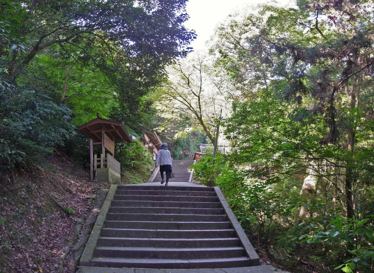 奥社(厳魂神社)へ向かう森の中の石段