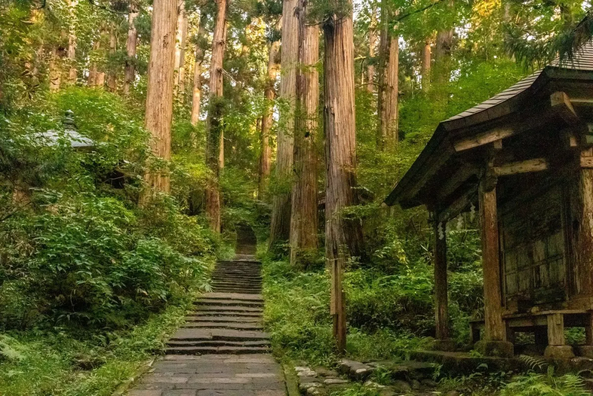 杉並木の中を山頂へ続く石段